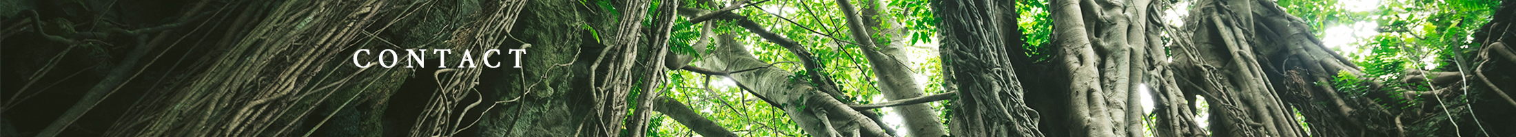 ノンケミカル,ヘナ,手荒れ,ハーバル,沖縄,美容師